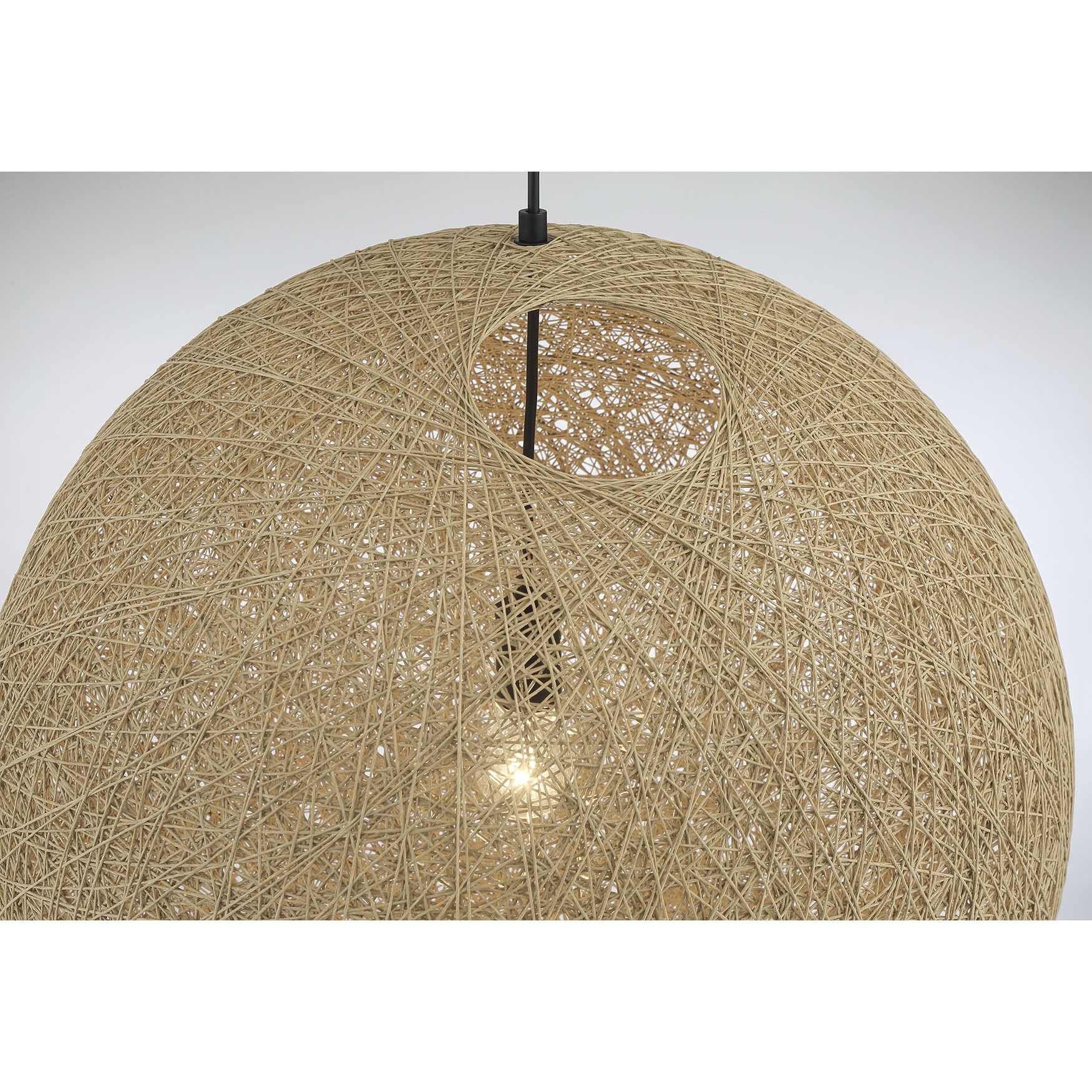 Entwined 1 Light 24 inch Coal Pendant Ceiling Light